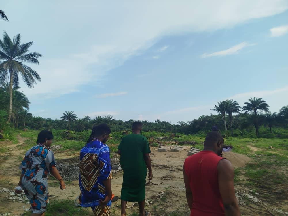 Bloomfield Estate