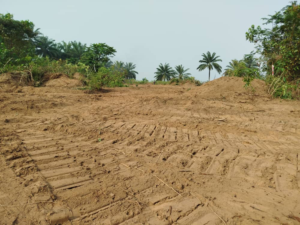 Diamond Villa Estate