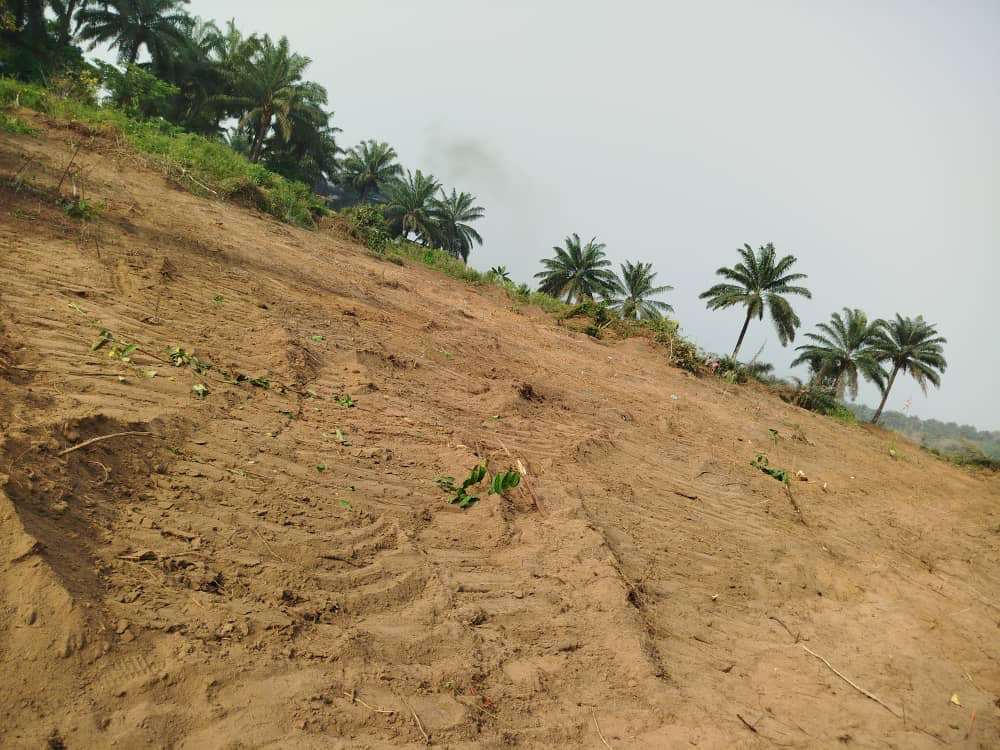 Diamond Villa Estate