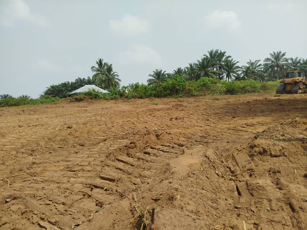 Diamond Villa Estate