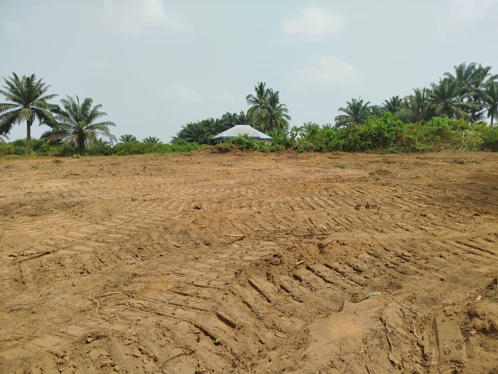 Diamond Villa Estate