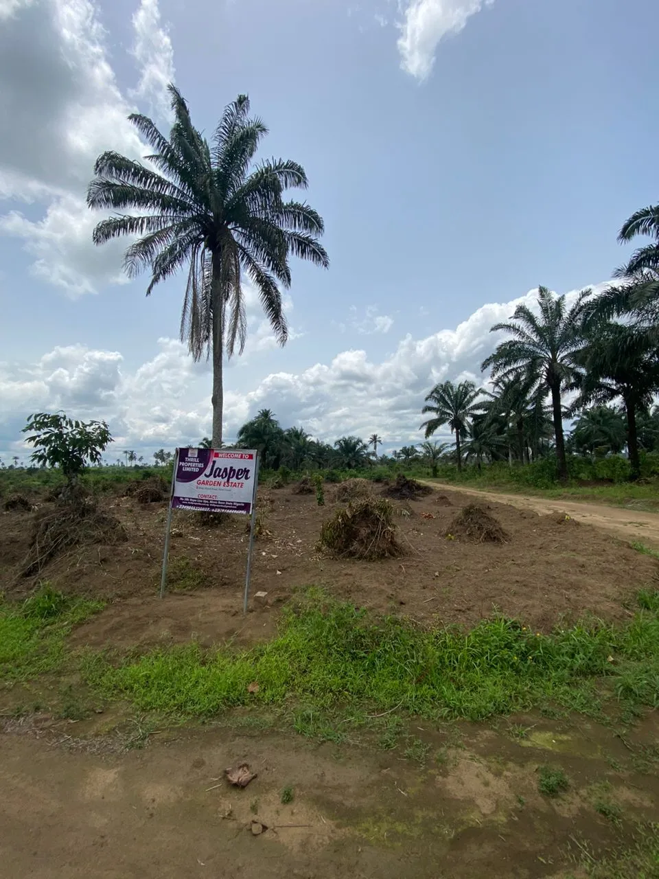 Jasper Garden Estate