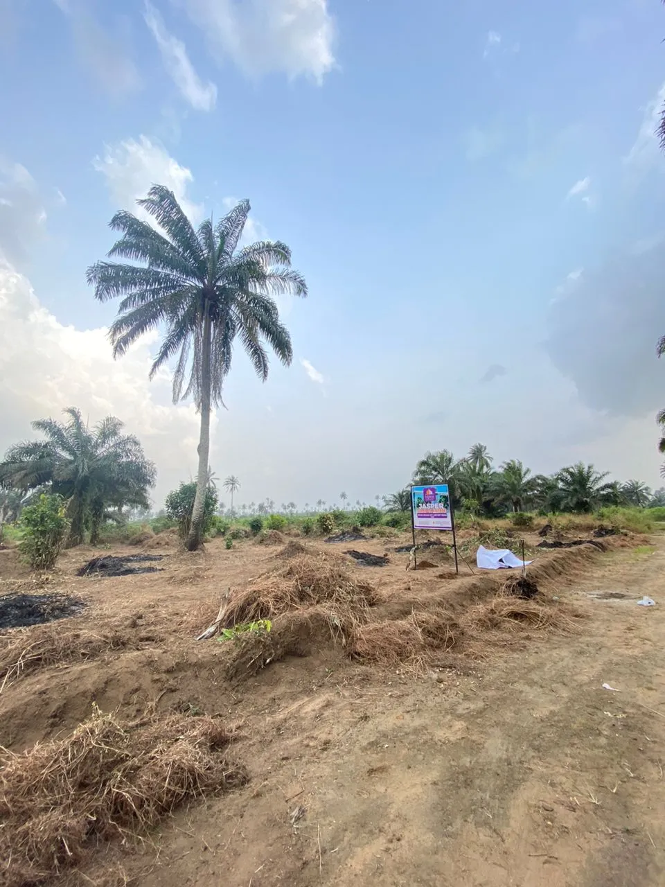 Jasper Garden Estate